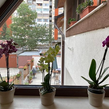 Hotel Sofia Family House - Free Parking Esterno foto