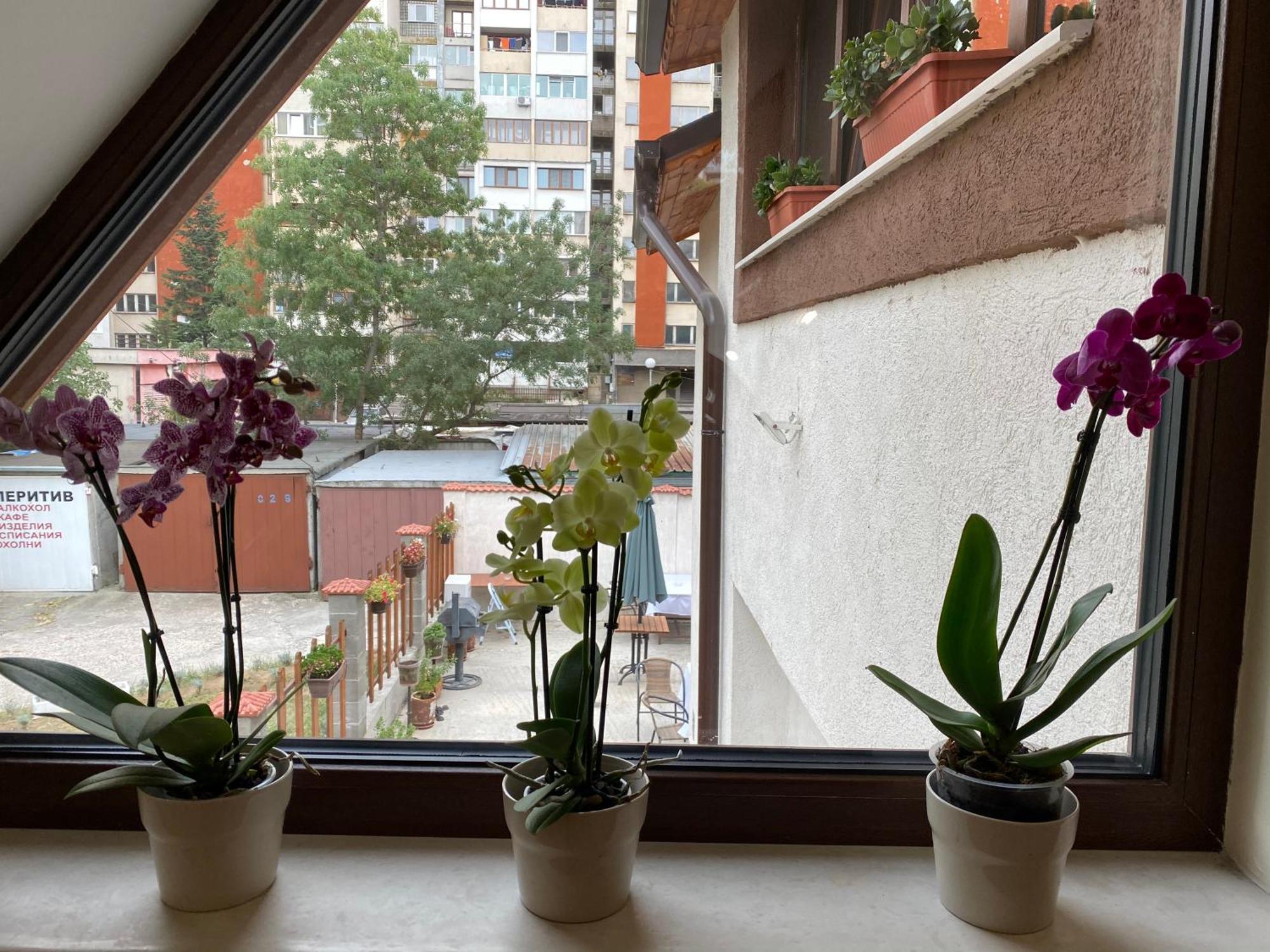 Hotel Sofia Family House - Free Parking Esterno foto