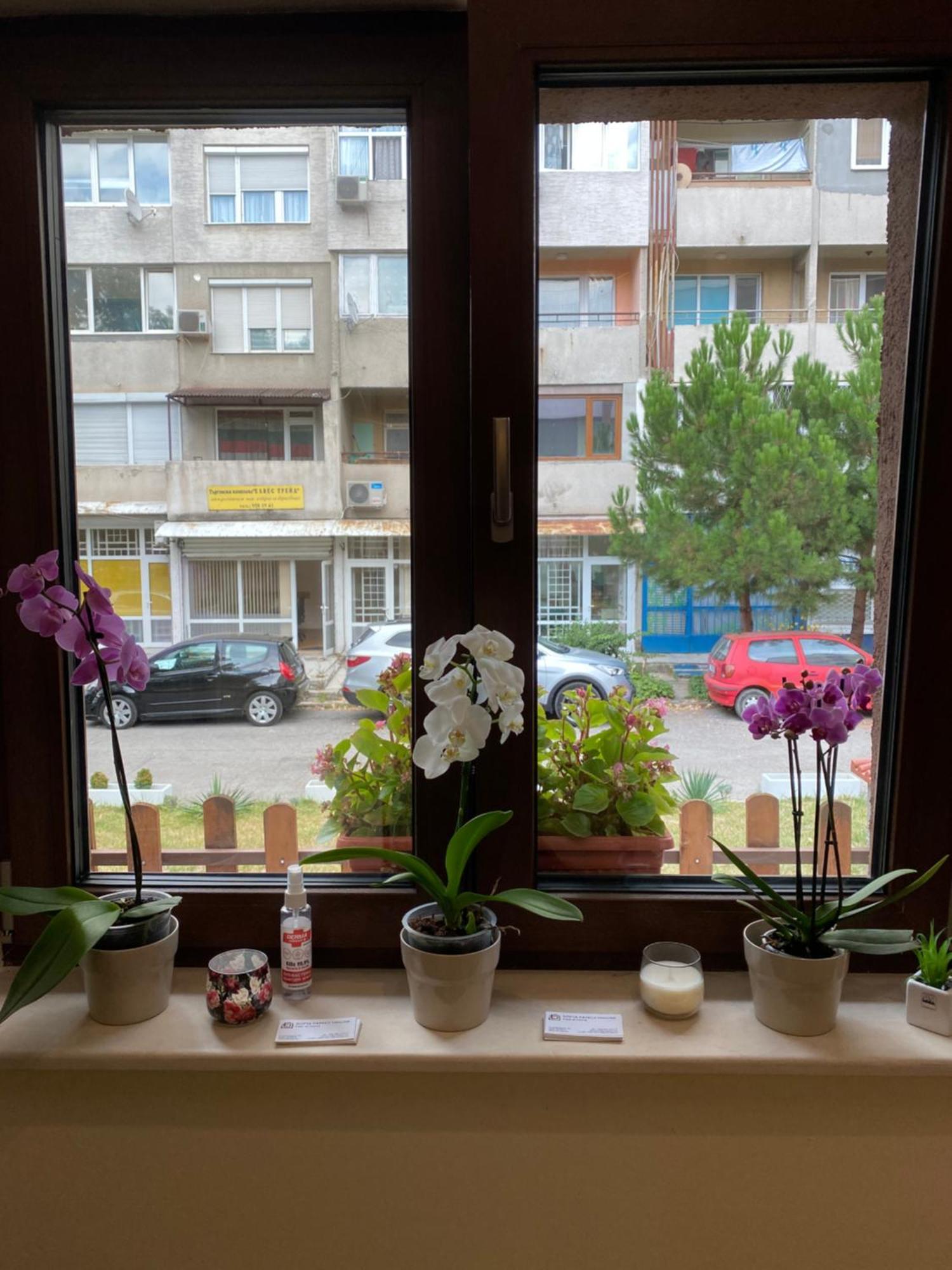 Hotel Sofia Family House - Free Parking Esterno foto